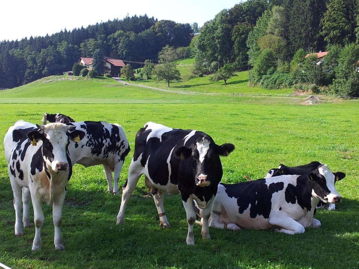 Zwischen Chiemsee Und Bergen Dg Bernau am Chiemsee Zewnętrze zdjęcie